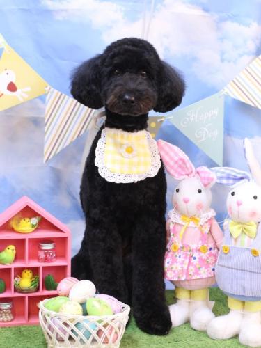 20270319アロちゃん